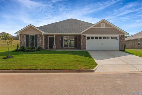 319 Carnation Avenue Meridianville AL 35759