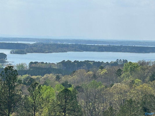41 COUNTY RD 767, CROSSVILLE, AL 35962 - Image 5a2dbbd37fbd4521d710f3d94a99ff39/841897510