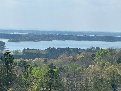 Vacant Land For Sale - LOT 41 County Road 767<br/> Cherokee County, Cedar Bluff, AL 35959