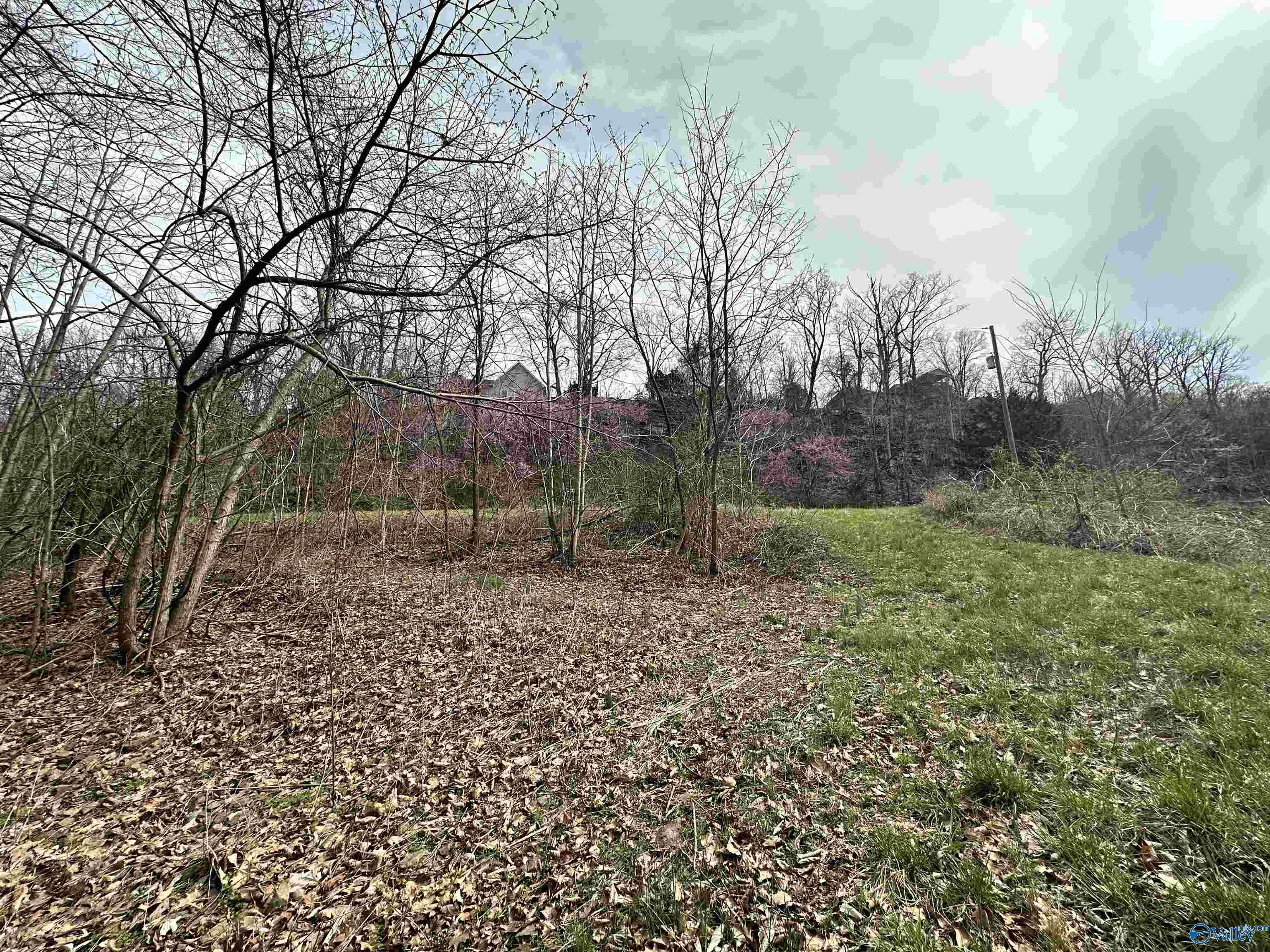 Lot 5 Rosewood Drive, Fort Payne, Alabama image 3