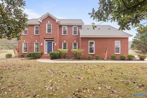 Photo of 929 E Cave Spring Road, Decatur, AL 35603 (MLS # 21905478)