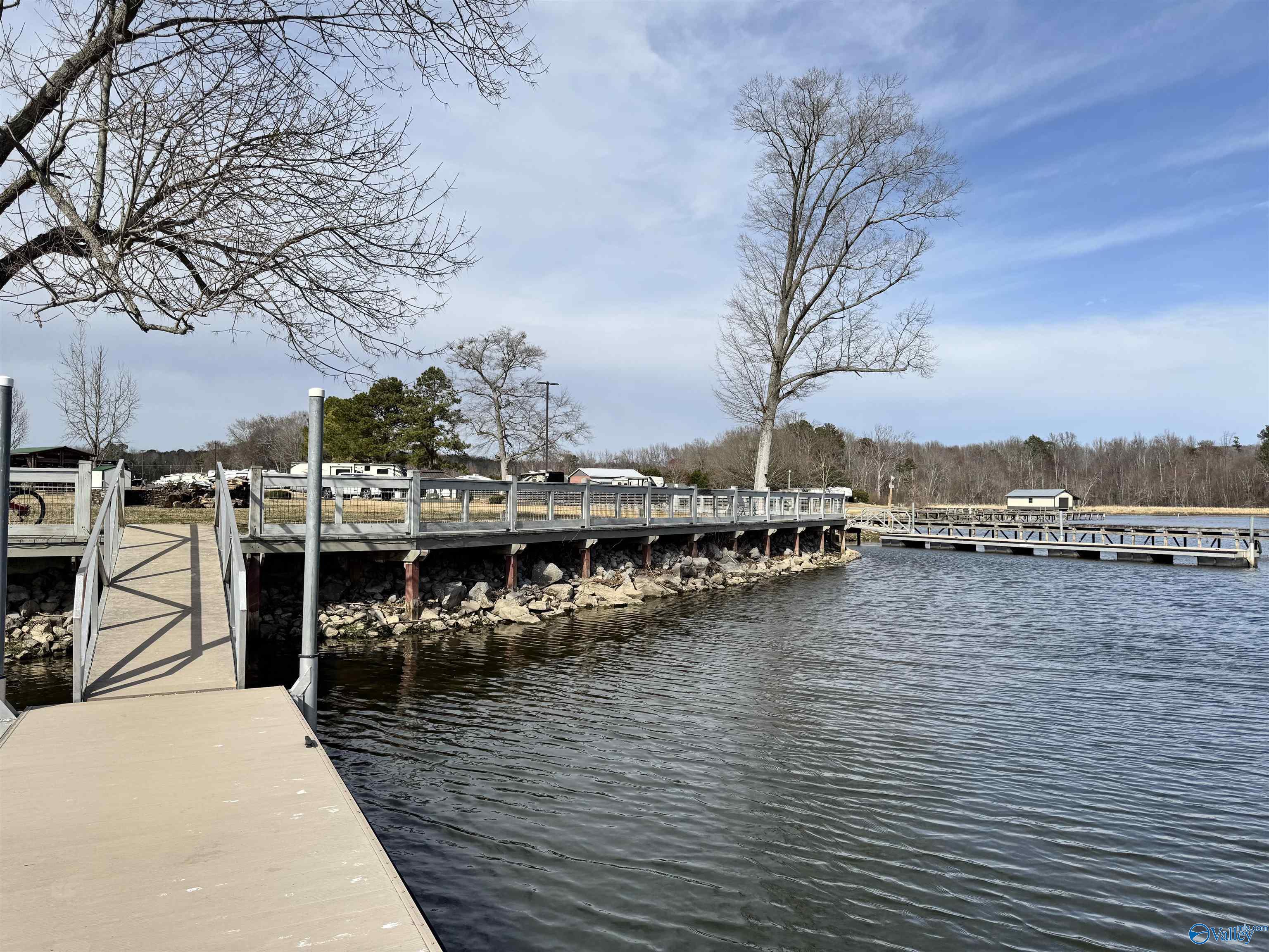 10174 County Road 67 #LOT 51, Langston, Alabama image 10