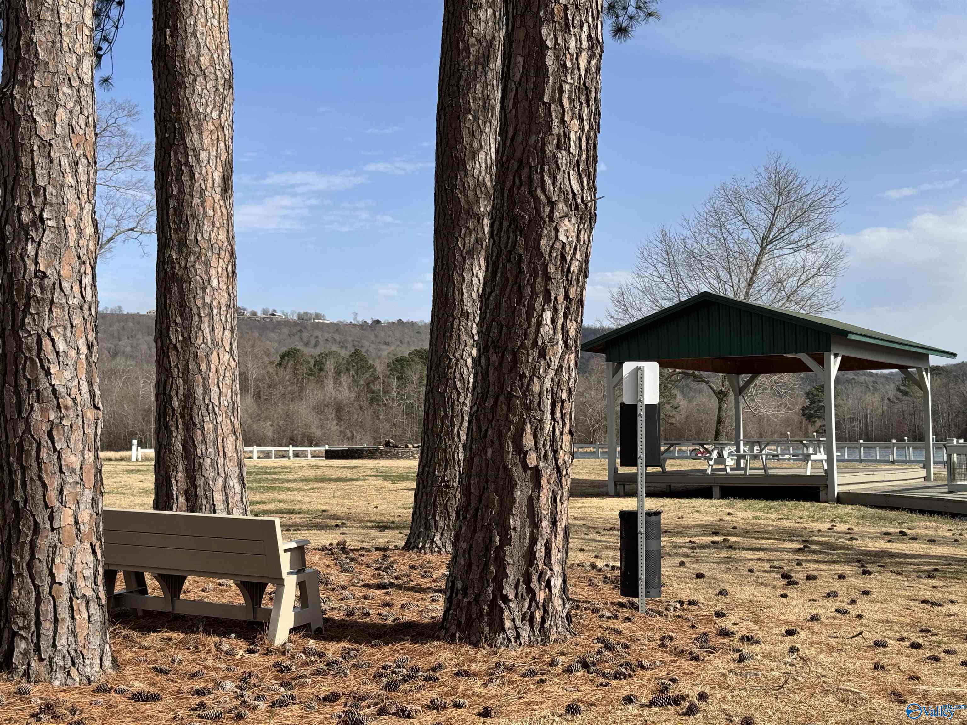 10174 County Road 67 #LOT 51, Langston, Alabama image 15