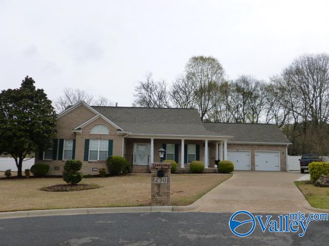 230 Azalea Circle, Guntersville, Alabama image 2