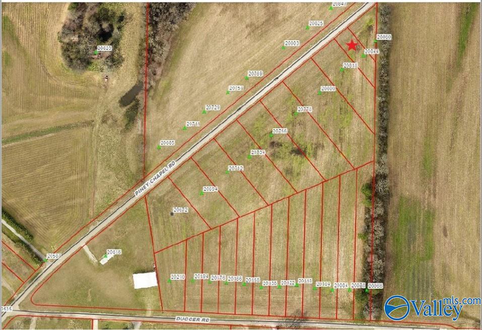 20844 Piney Chapel Road, Athens, Alabama image 1
