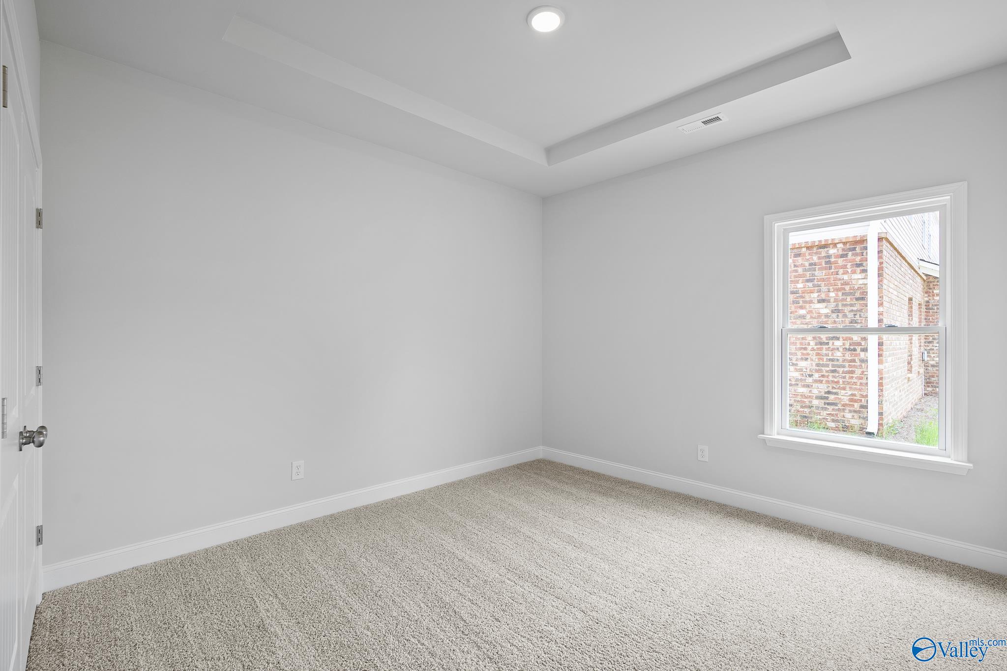 148 Carrie Drive, Madison, Alabama image 19