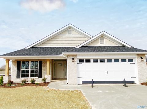 Homes For Sale - 109 Sidney Ruth Drive<br/> New Market, AL 35761