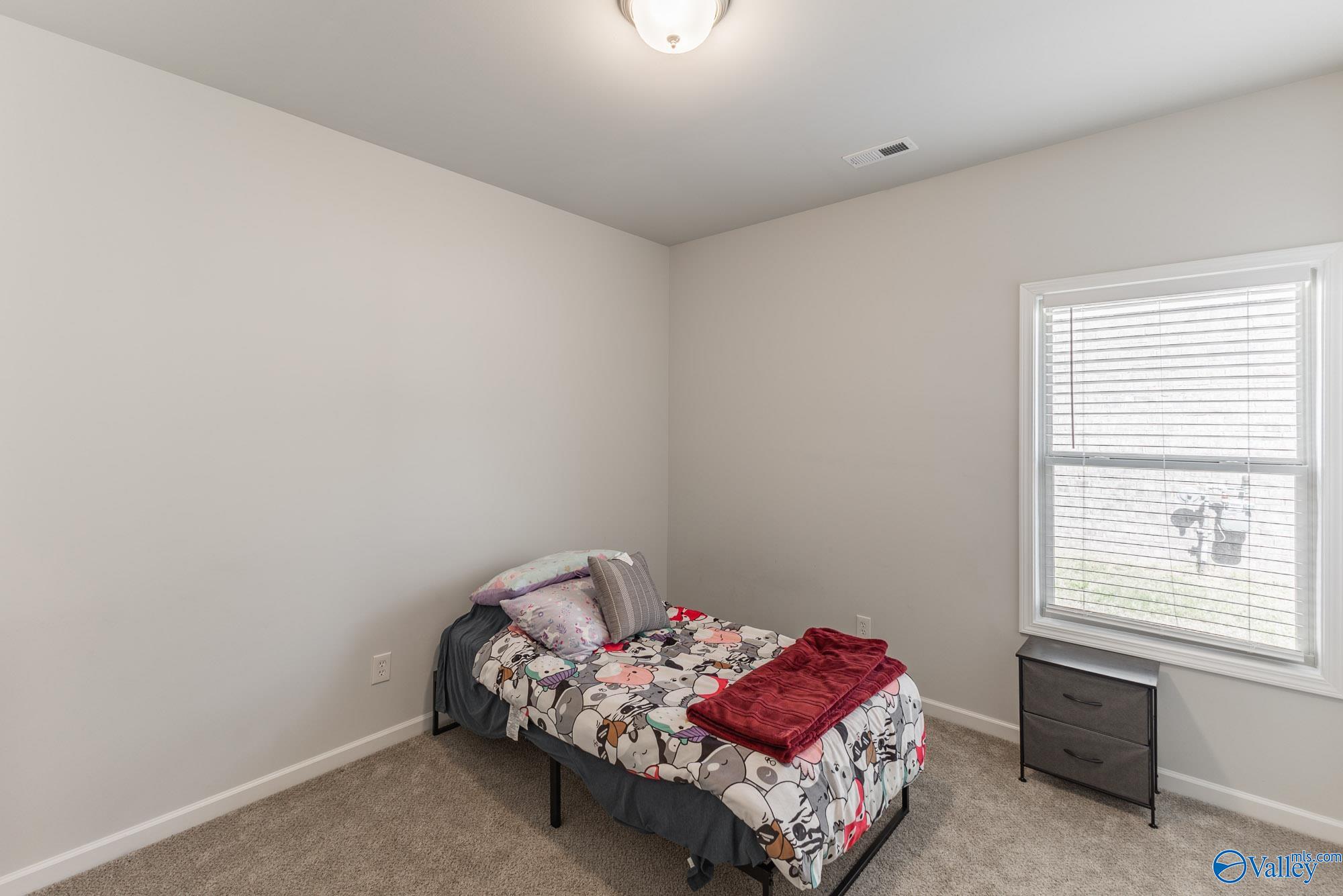 104 Saddle Street, New Market, Alabama image 13