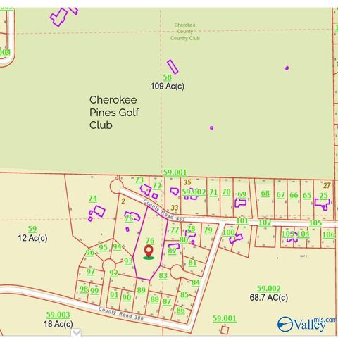 Vacant Land For Sale - 105 County Road 453<br/> Centre, AL 35960