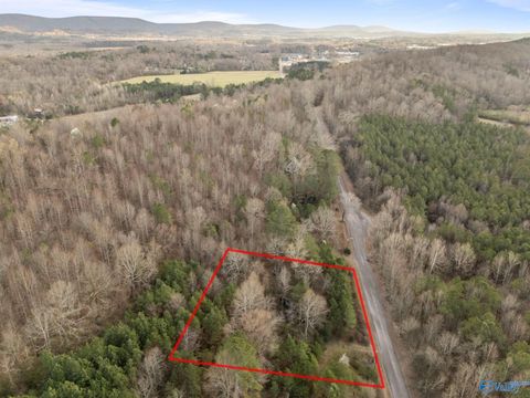 Vacant Land For Sale - 1 ACRE George Adams Road<br/> Jackson County, Scottsboro, AL 35758
