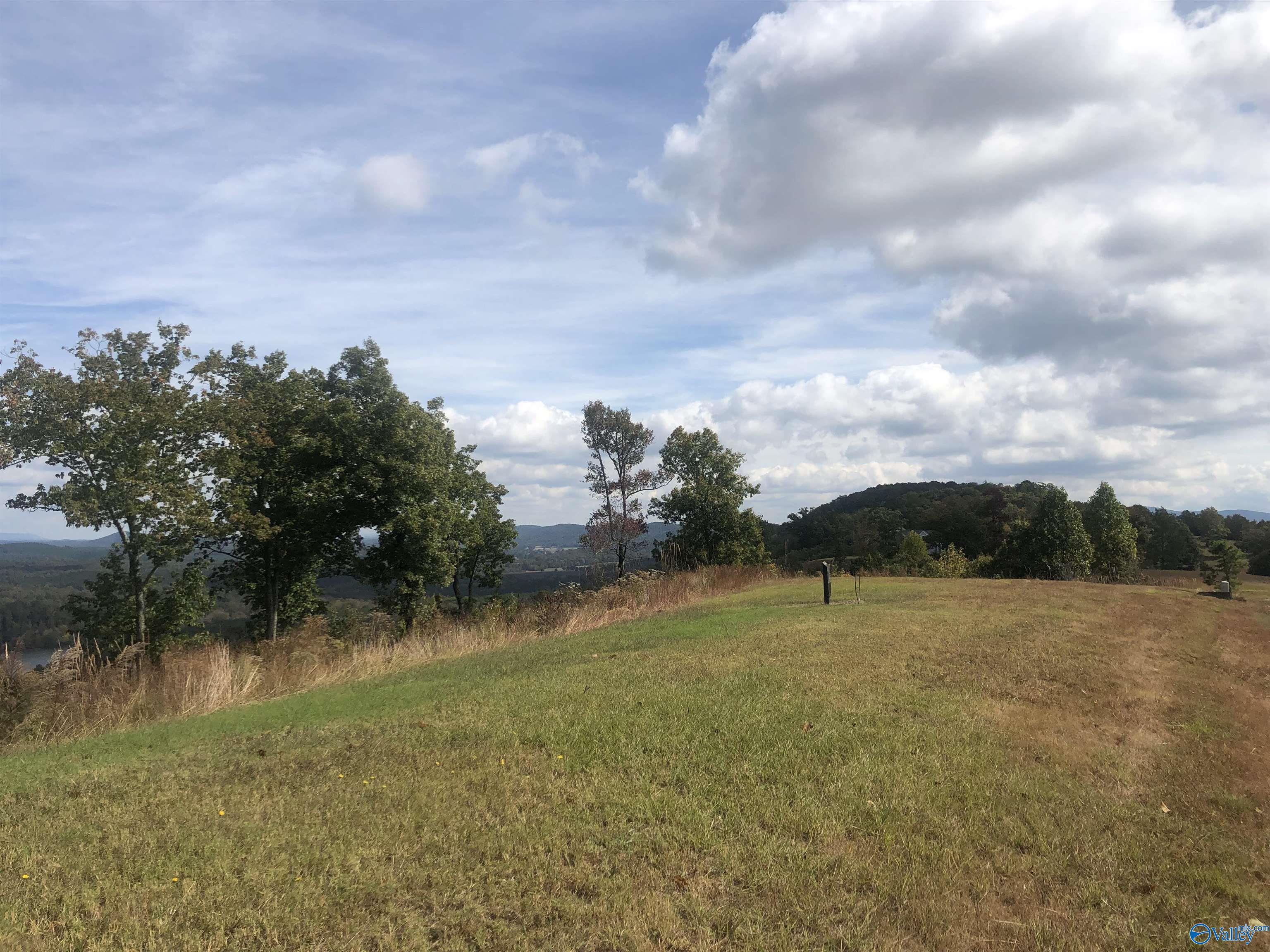 Lot 205 County Road 767, Cedar Bluff, Alabama image 19