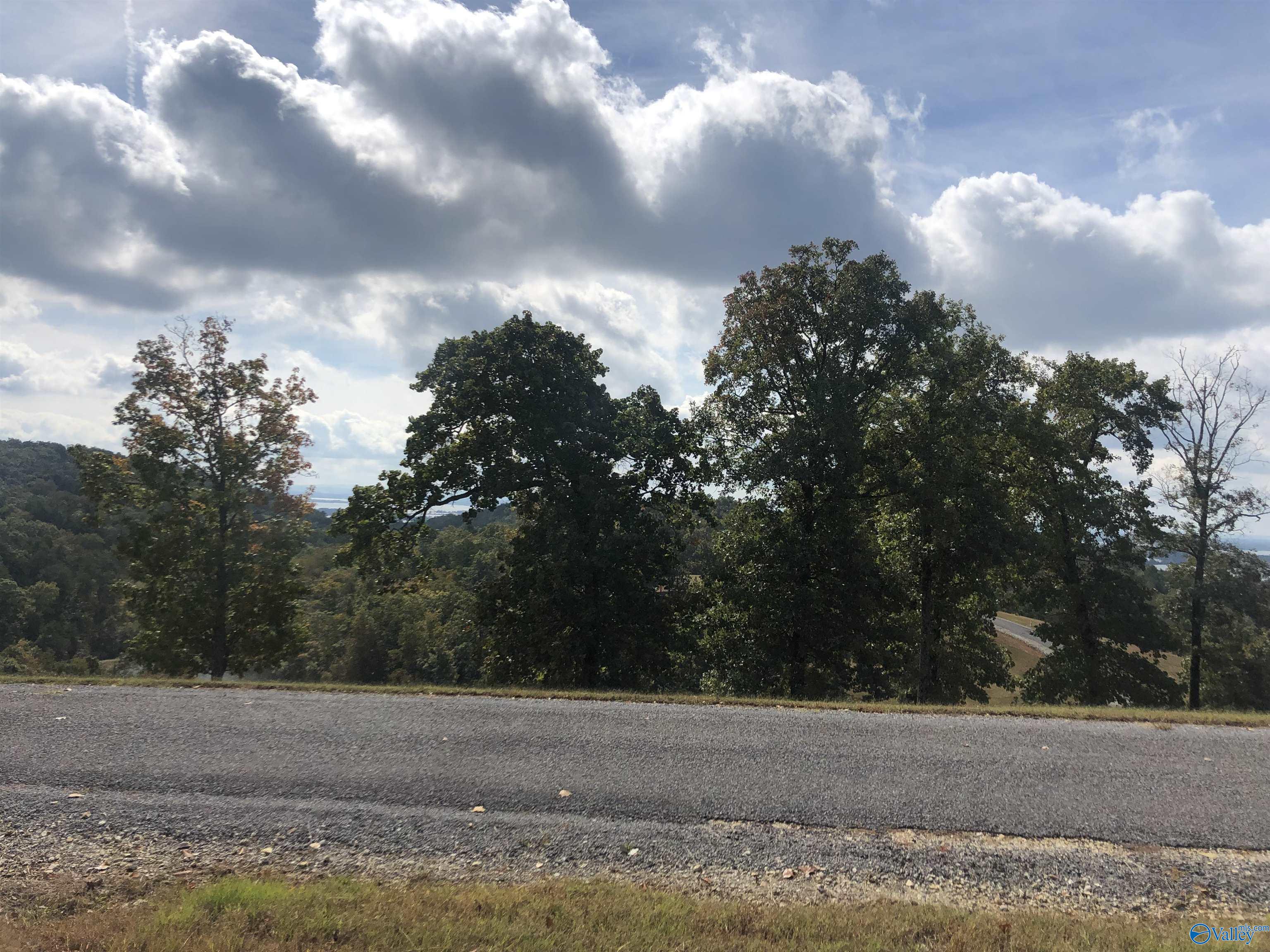 Lot 205 County Road 767, Cedar Bluff, Alabama image 27