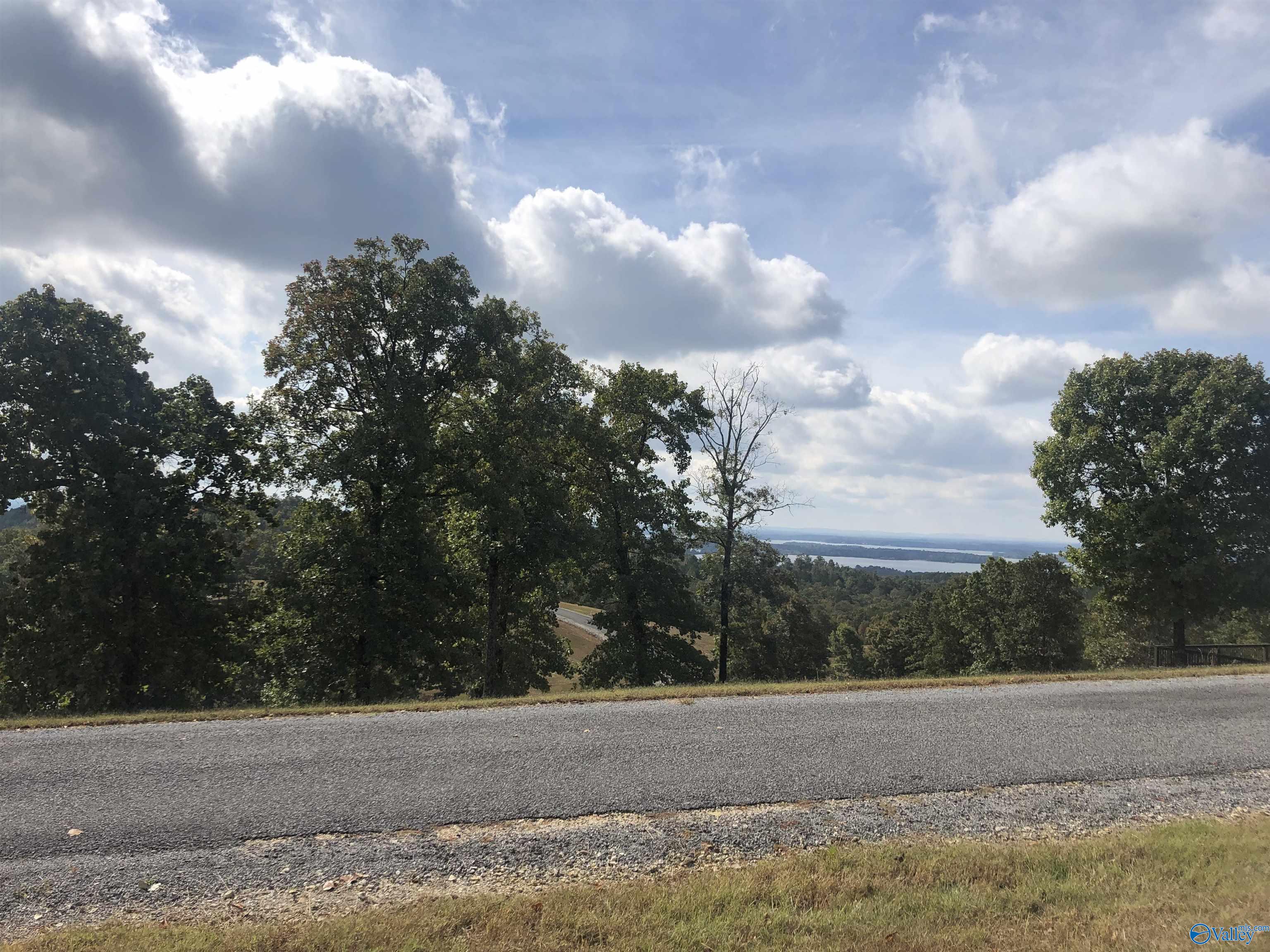 Lot 205 County Road 767, Cedar Bluff, Alabama image 26