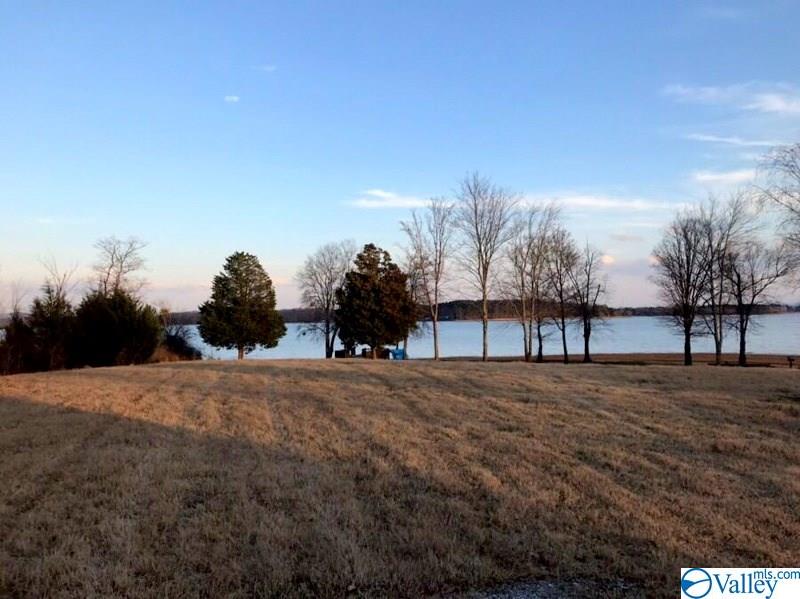 Lot 205 County Road 767, Cedar Bluff, Alabama image 9