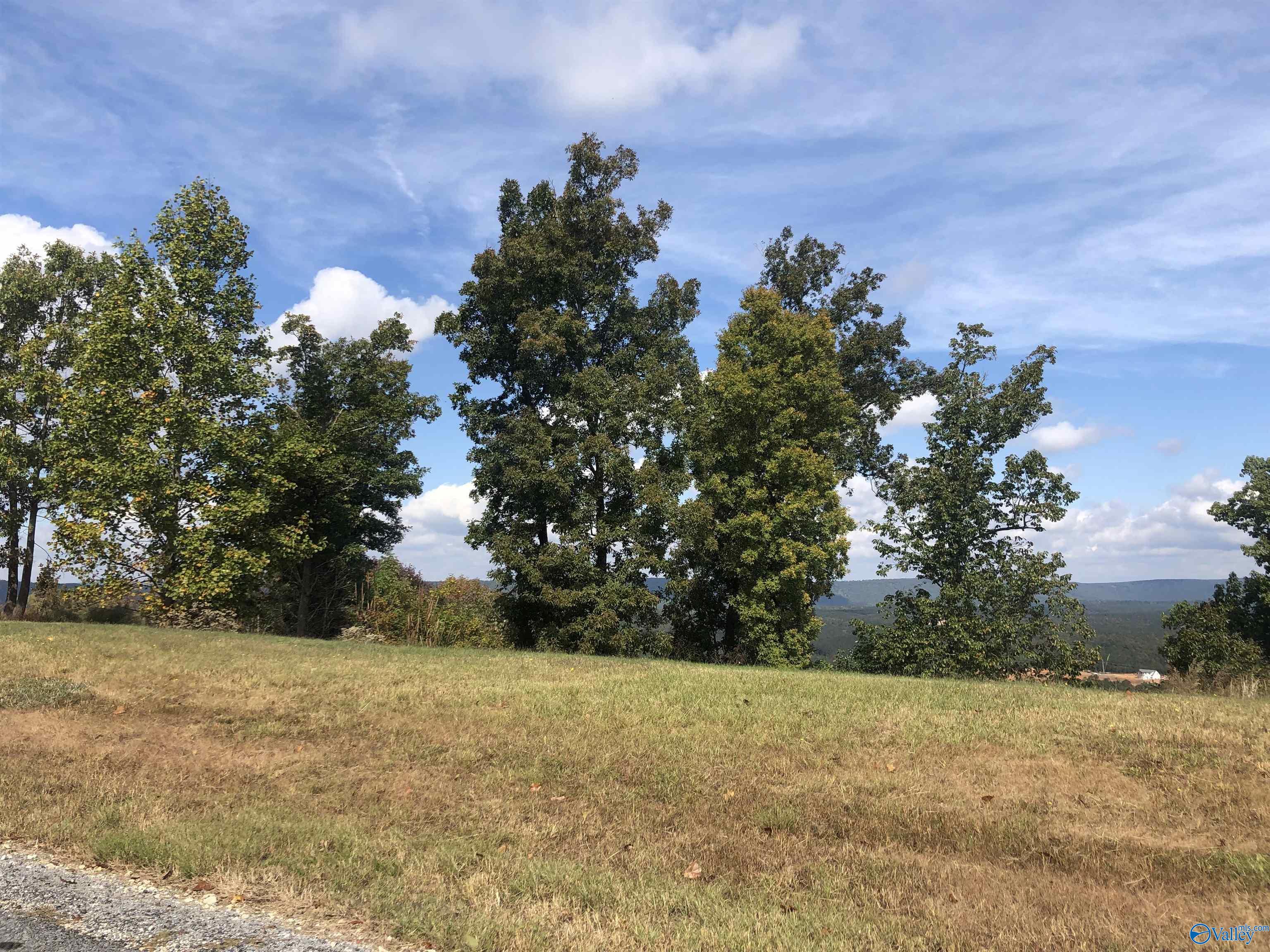 Lot 205 County Road 767, Cedar Bluff, Alabama image 1