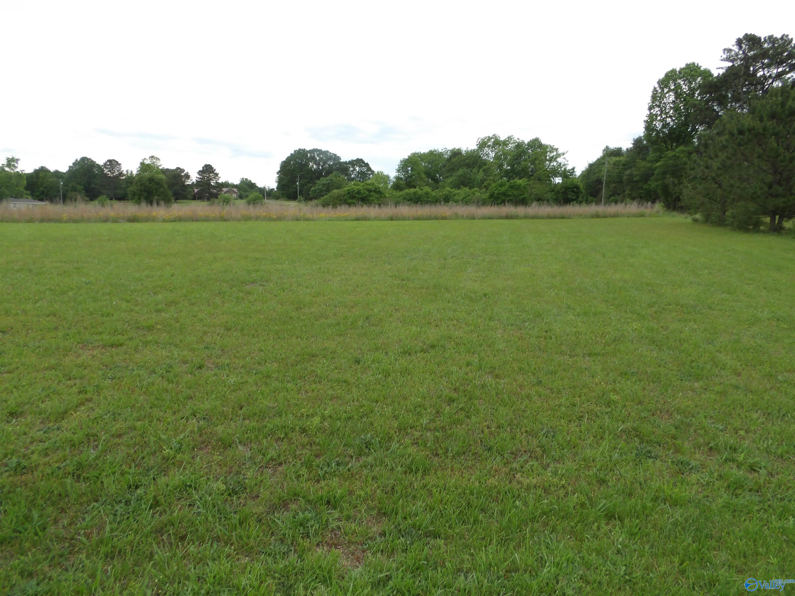 341 County Road 9, Crossville, Alabama image 15