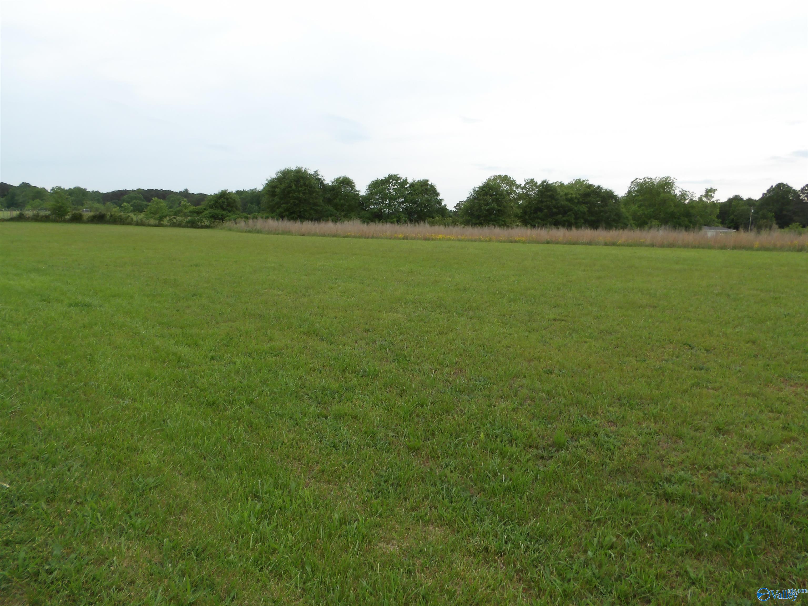 341 County Road 9, Crossville, Alabama image 14