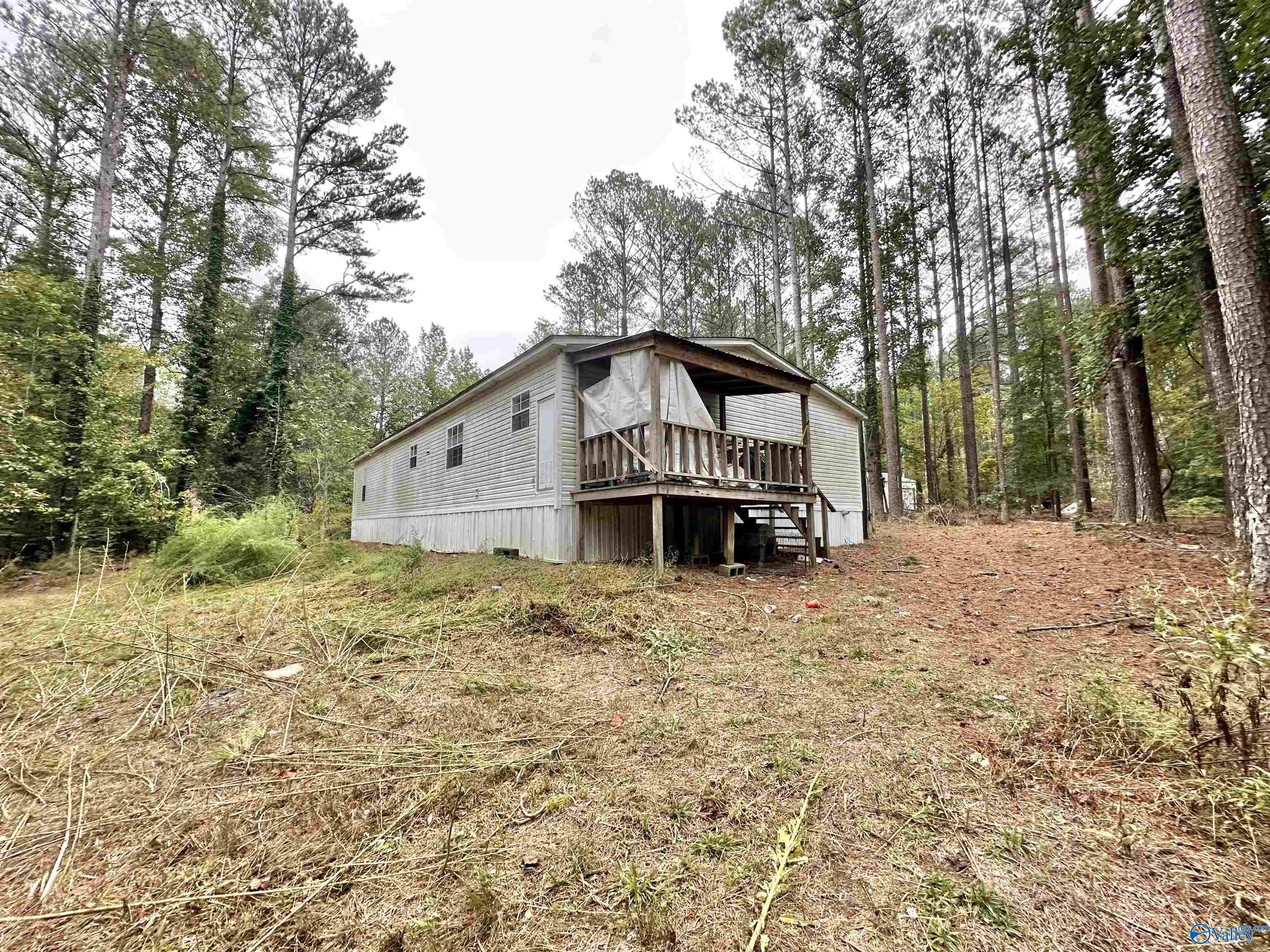 730 County Road 4030, Arley, Alabama image 31