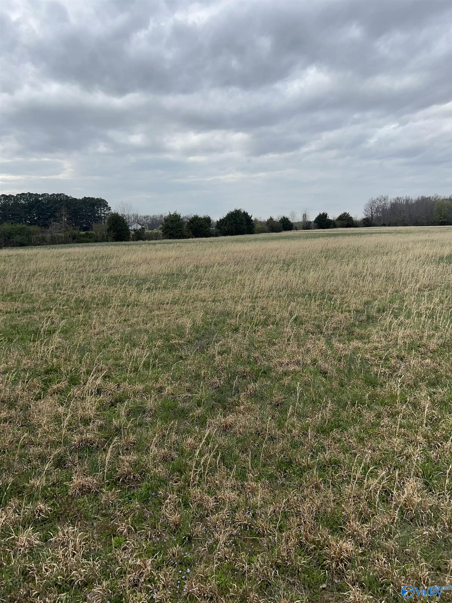 15.8 Acres Sunset Drive, Hazel Green, Alabama image 2