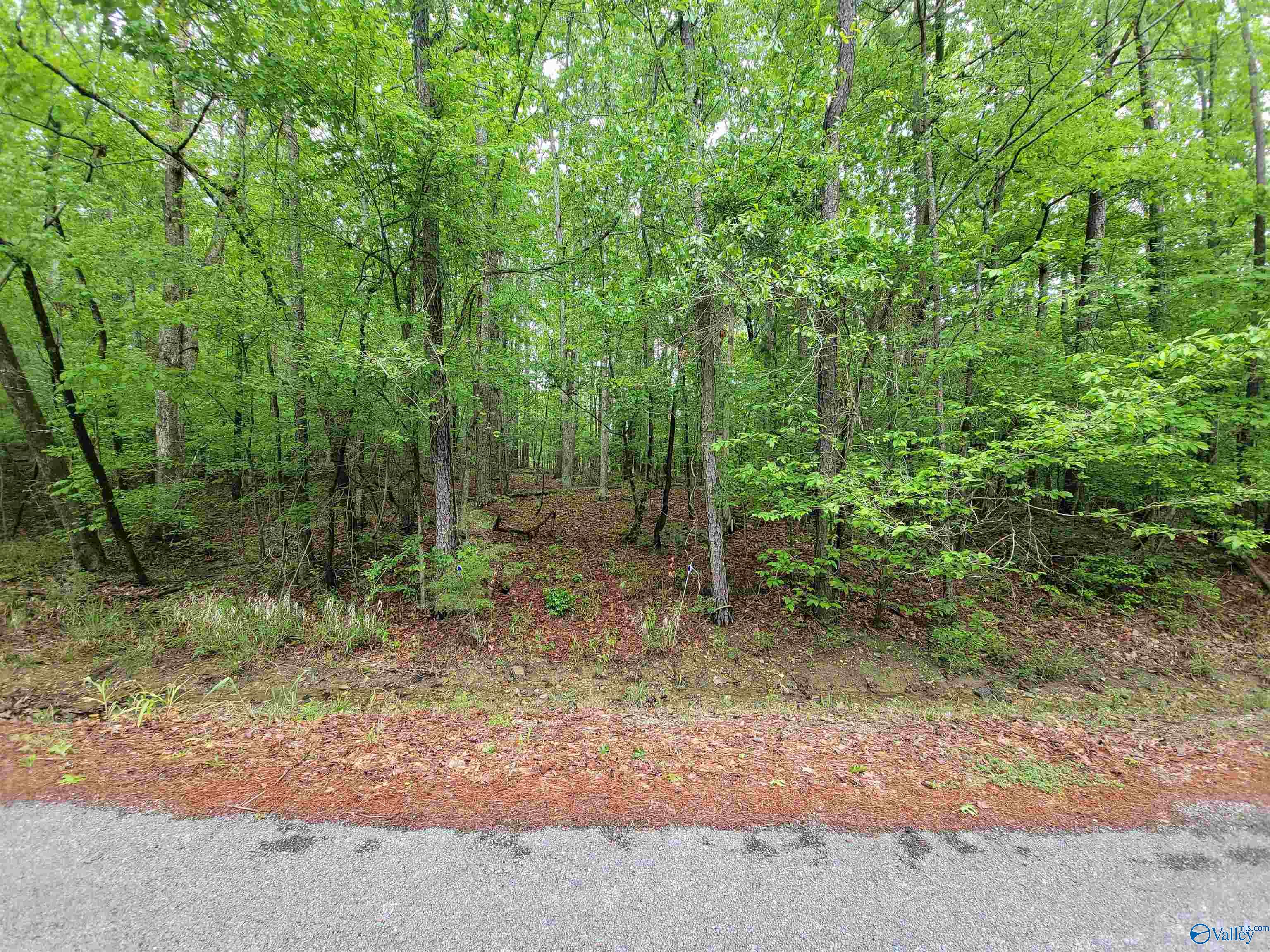 2.5 Aqua Vista Drive East, Gadsden, Alabama image 4