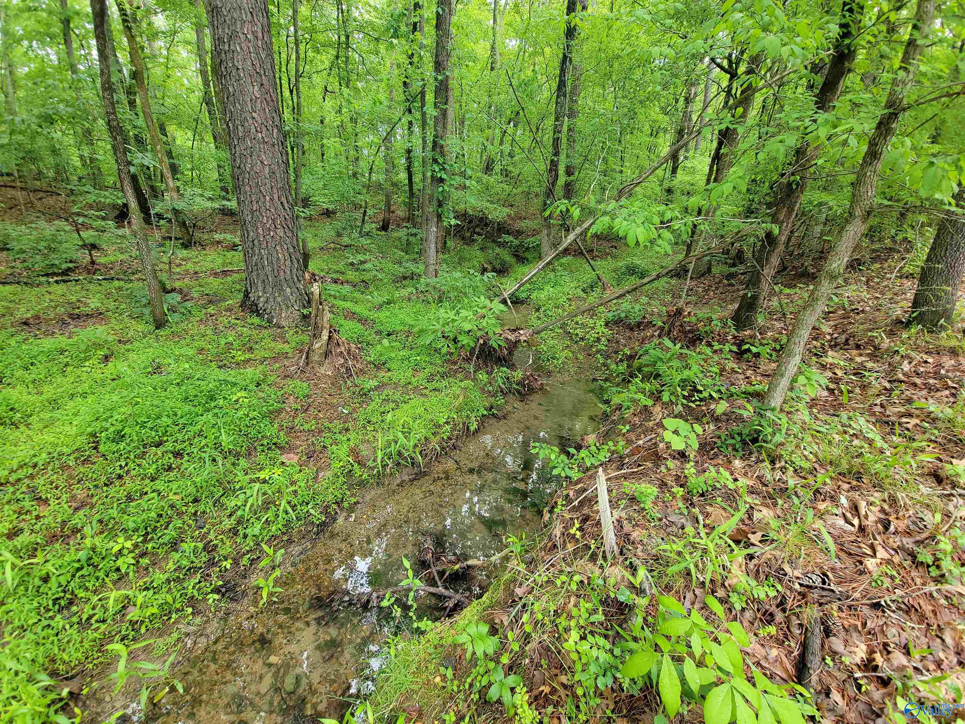 2.5 Aqua Vista Drive East, Gadsden, Alabama image 5