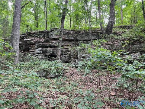 Vacant Land For Sale - 381 Worthington Lane<br/> Guntersville, AL 35976