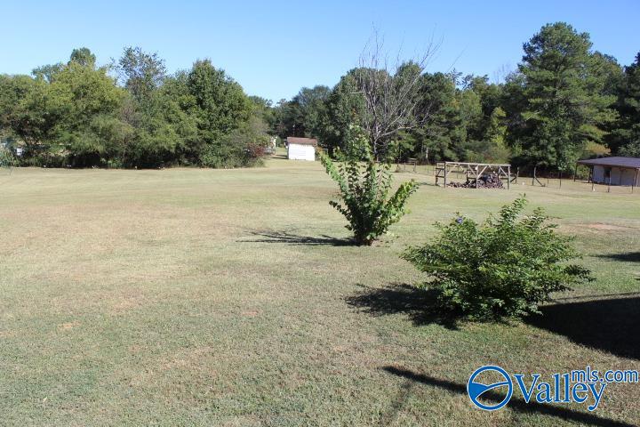 130 Leslie Willis Road, Somerville, Alabama image 5