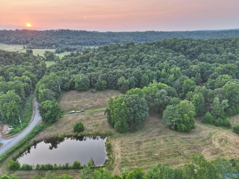 Vacant Land For Sale - 167 AC County Road 608<br/> Valley Head, AL 35989
