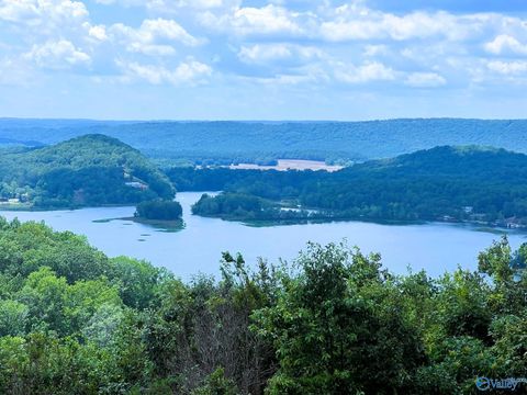 Vacant Land For Sale - LOT 210 County Road 767<br/> Cherokee County, Cedar Bluff, AL 35959