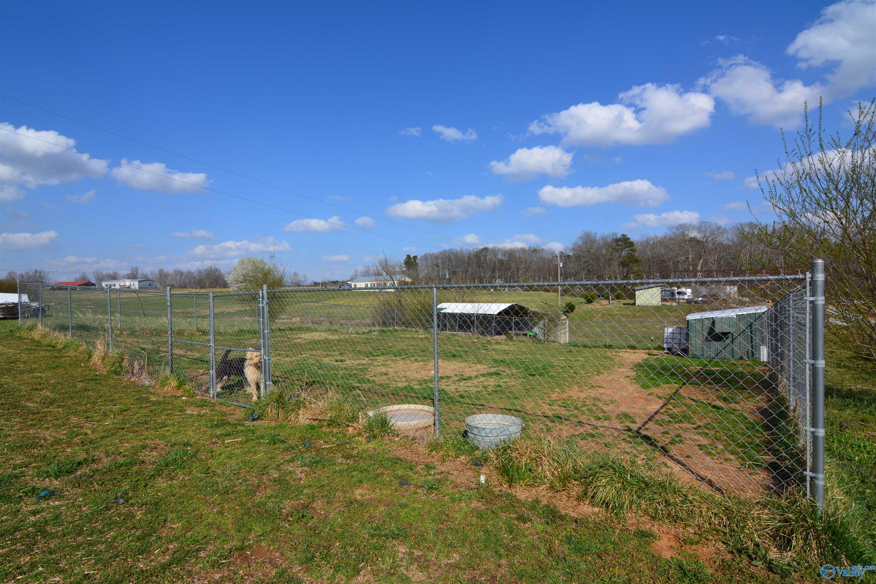 1102 County Road 1225, Vinemont, Alabama image 23