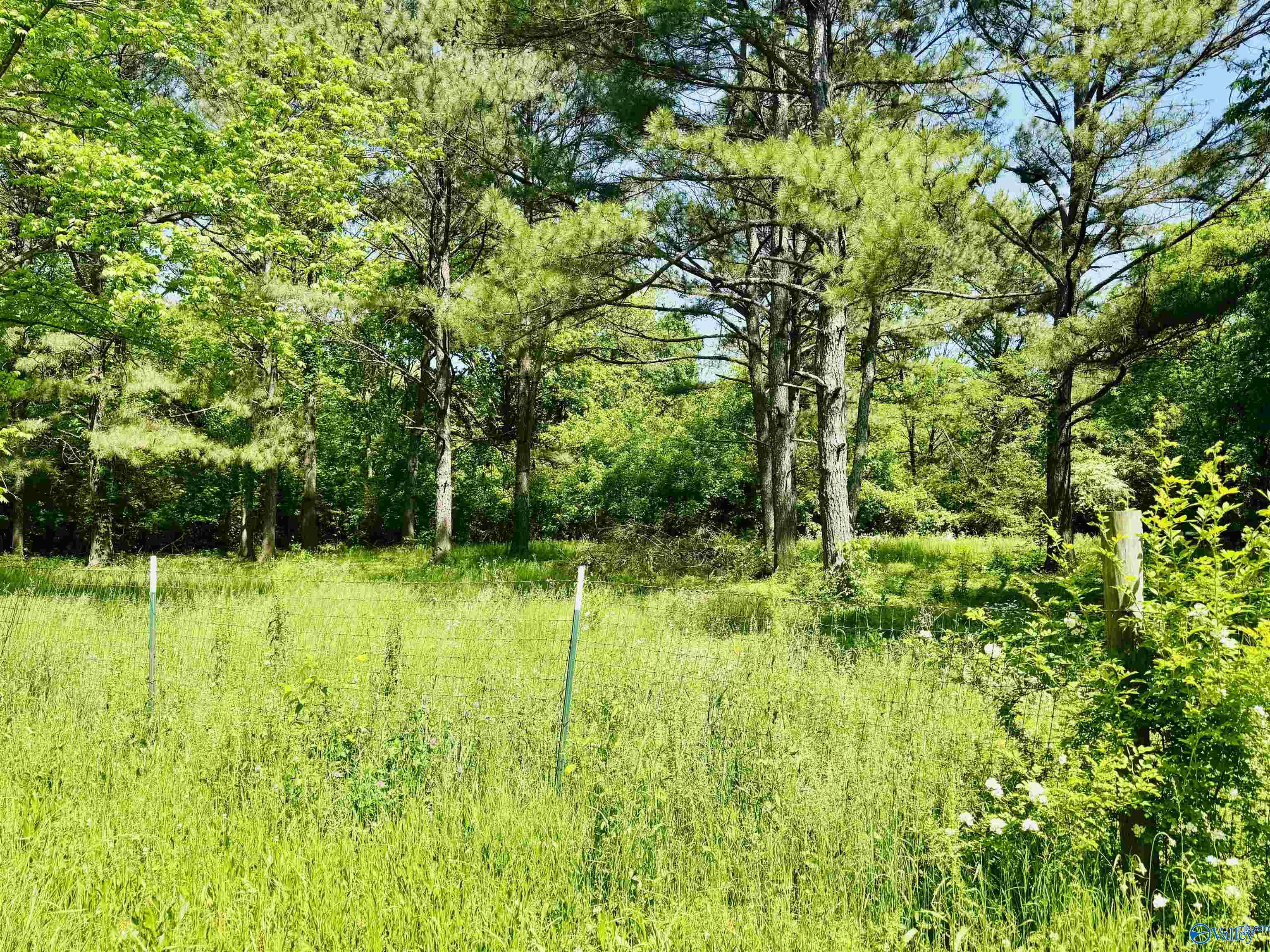 Lot 17 Acorn Hill Circle, Athens, Alabama image 2