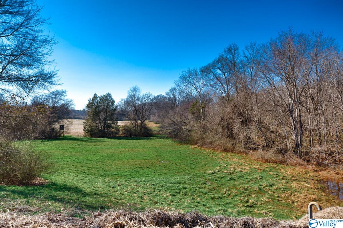 36 Highway 231/431 Dr, Meridianville, Alabama image 15