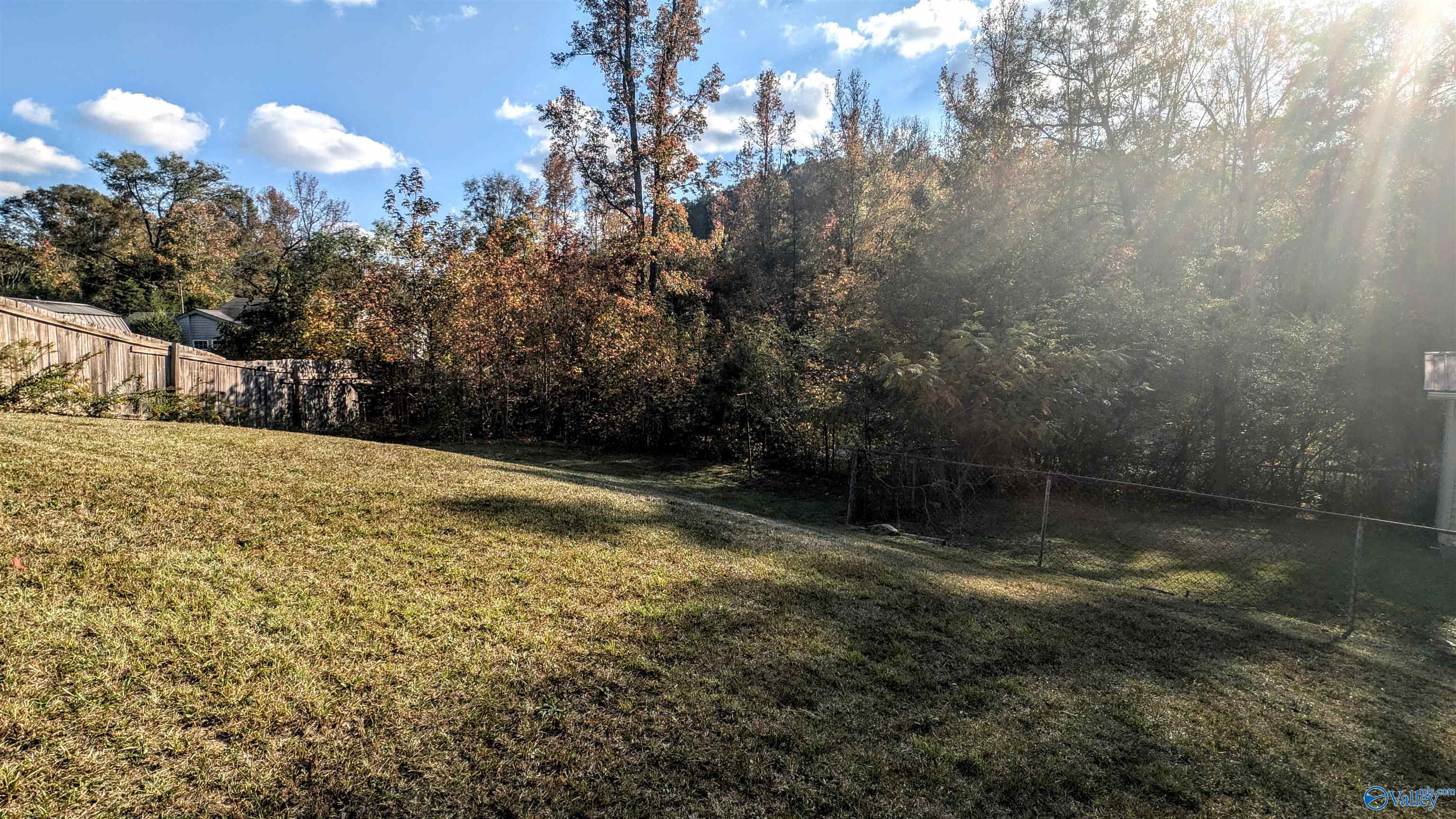 706 Highway 204, Wellington, Alabama image 17