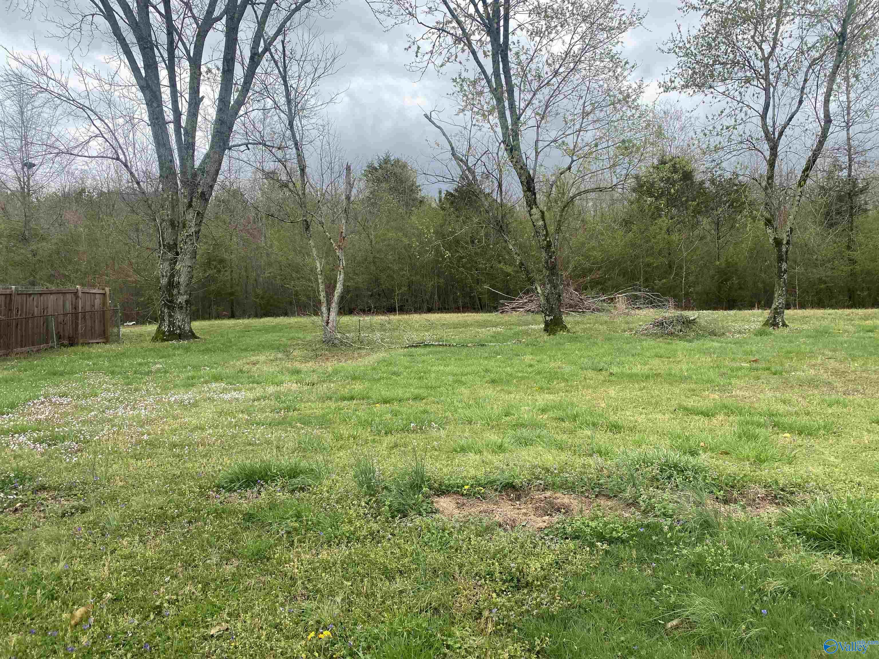 368 Mitchell Drive, Hollywood, Alabama image 6