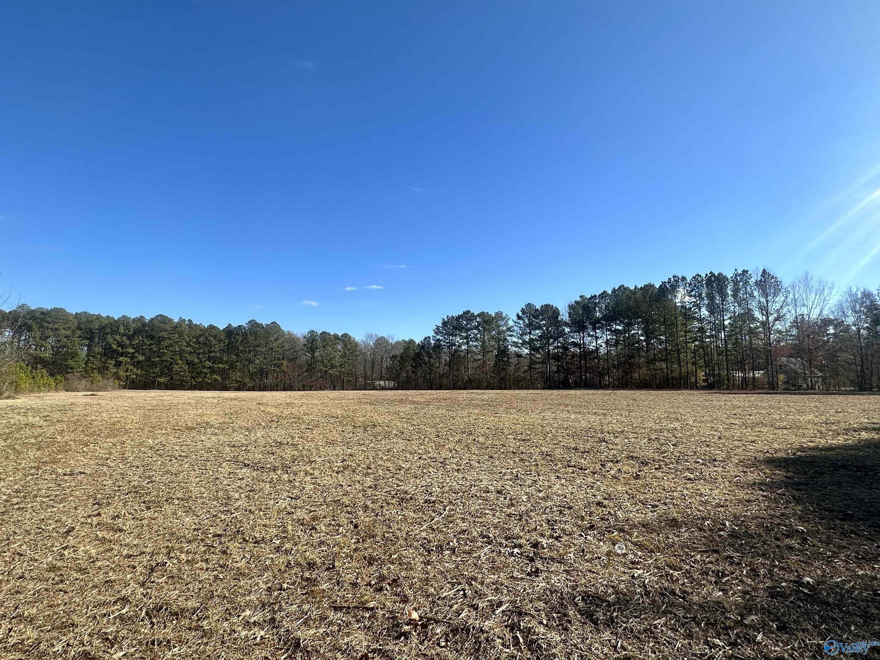 8.83 Acres Wilcox Street, Attalla, Alabama image 1