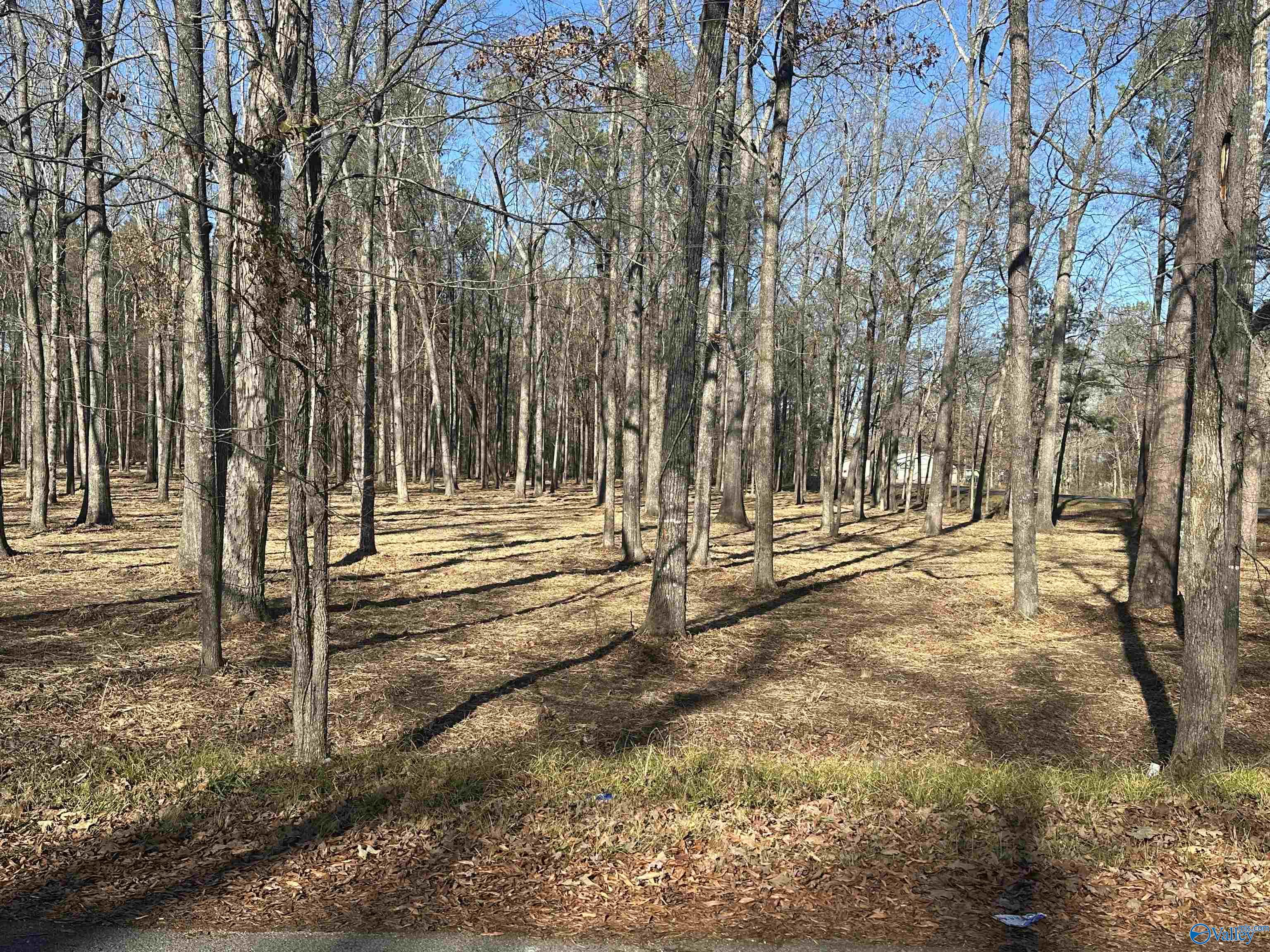 8.83 Acres Wilcox Street, Attalla, Alabama image 3