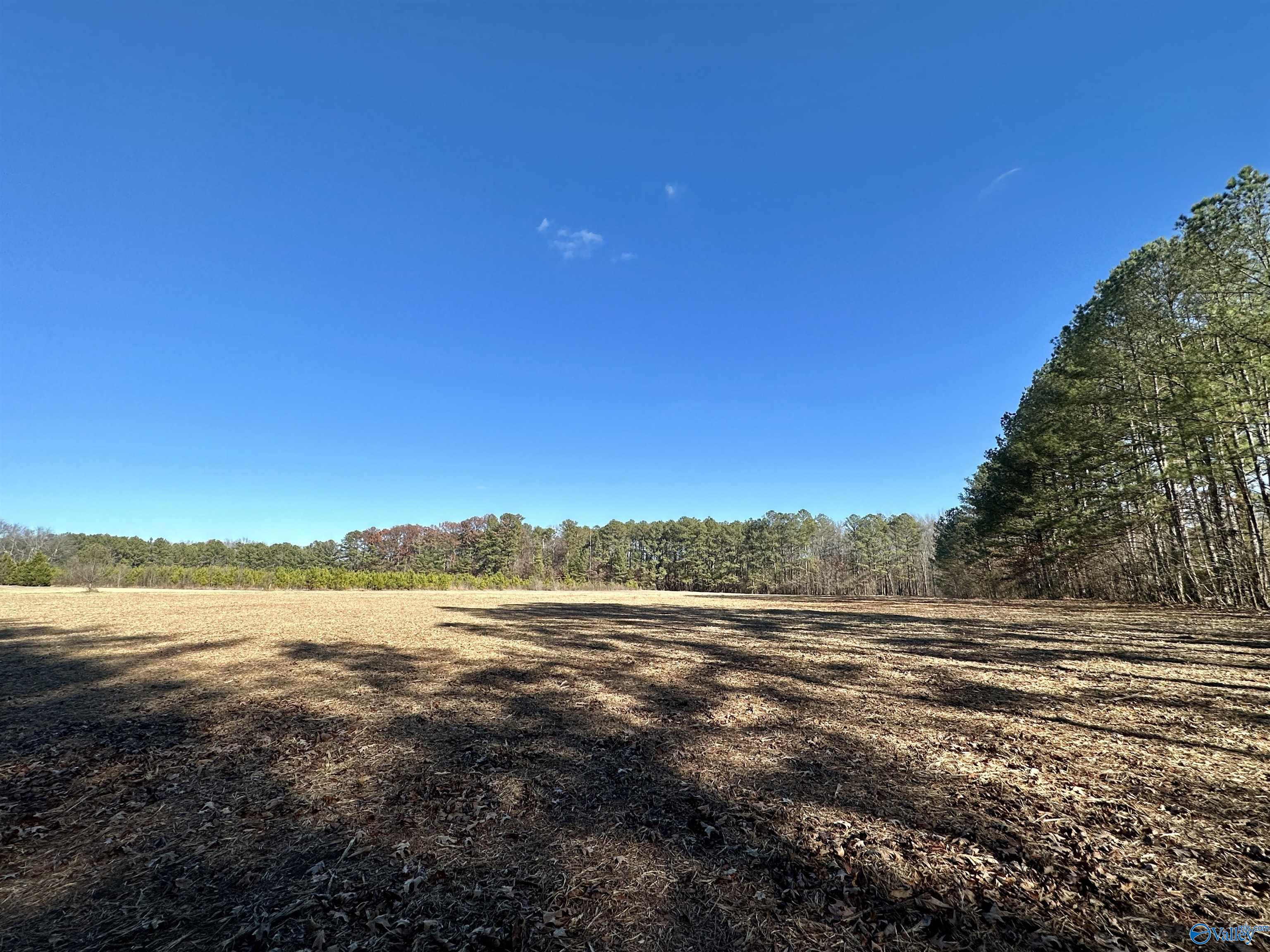 8.83 Acres Wilcox Street, Attalla, Alabama image 2