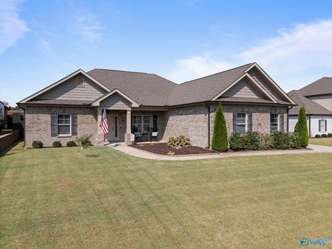 Homes For Sale - 108 Fawn Brook Drive<br/> Hazel Green, AL 35750