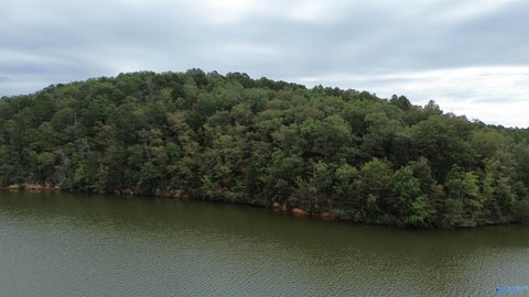 Vacant Land For Sale - 1 Highway 273<br/> Leesburg, AL 35983