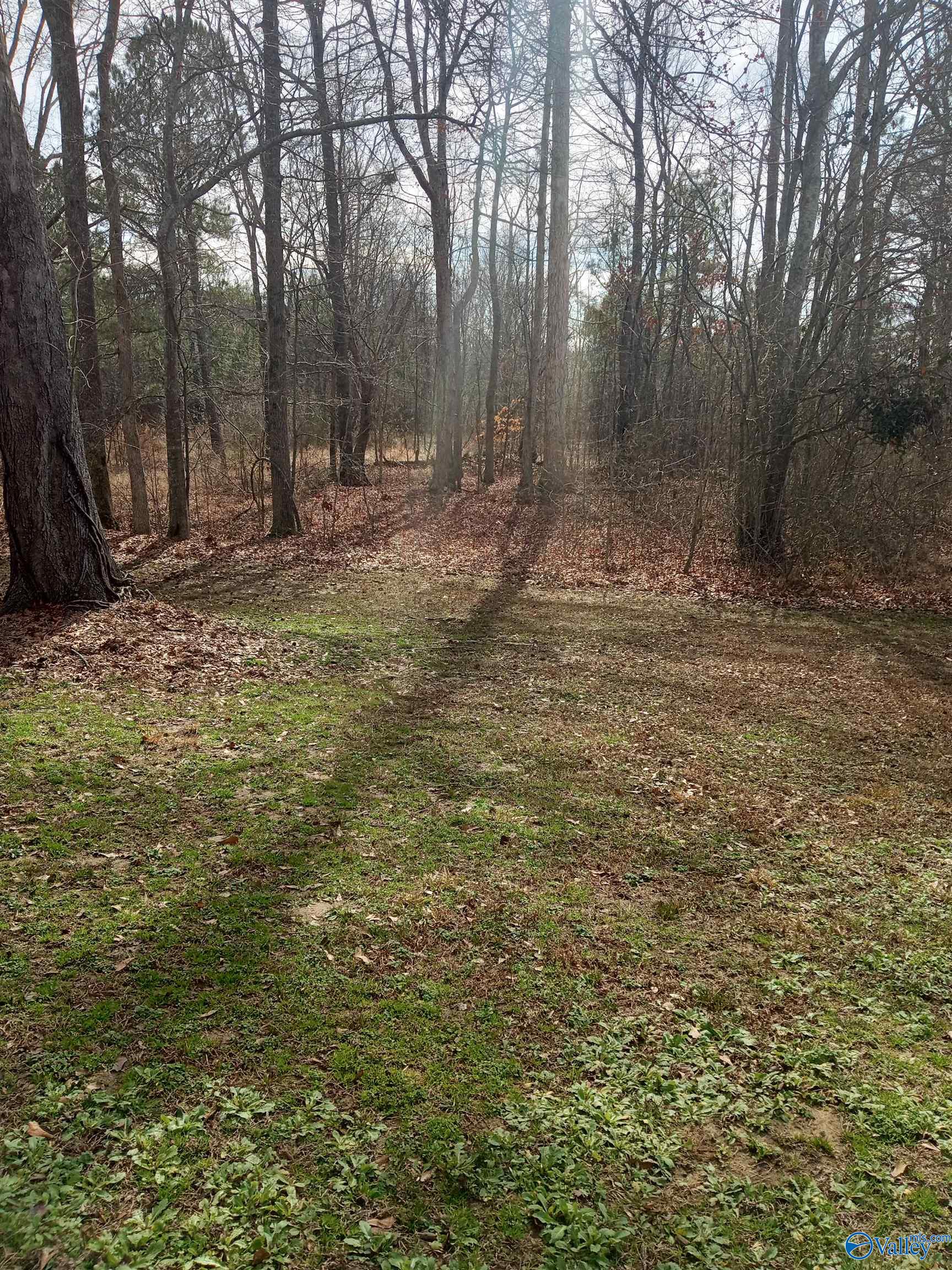 2.6 Acres Union Grove Road, Guntersville, Alabama image 2