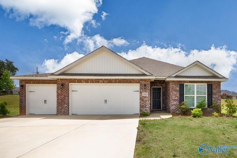 Homes For Rent - 100 River Springs Court<br/> New Market, AL 35761
