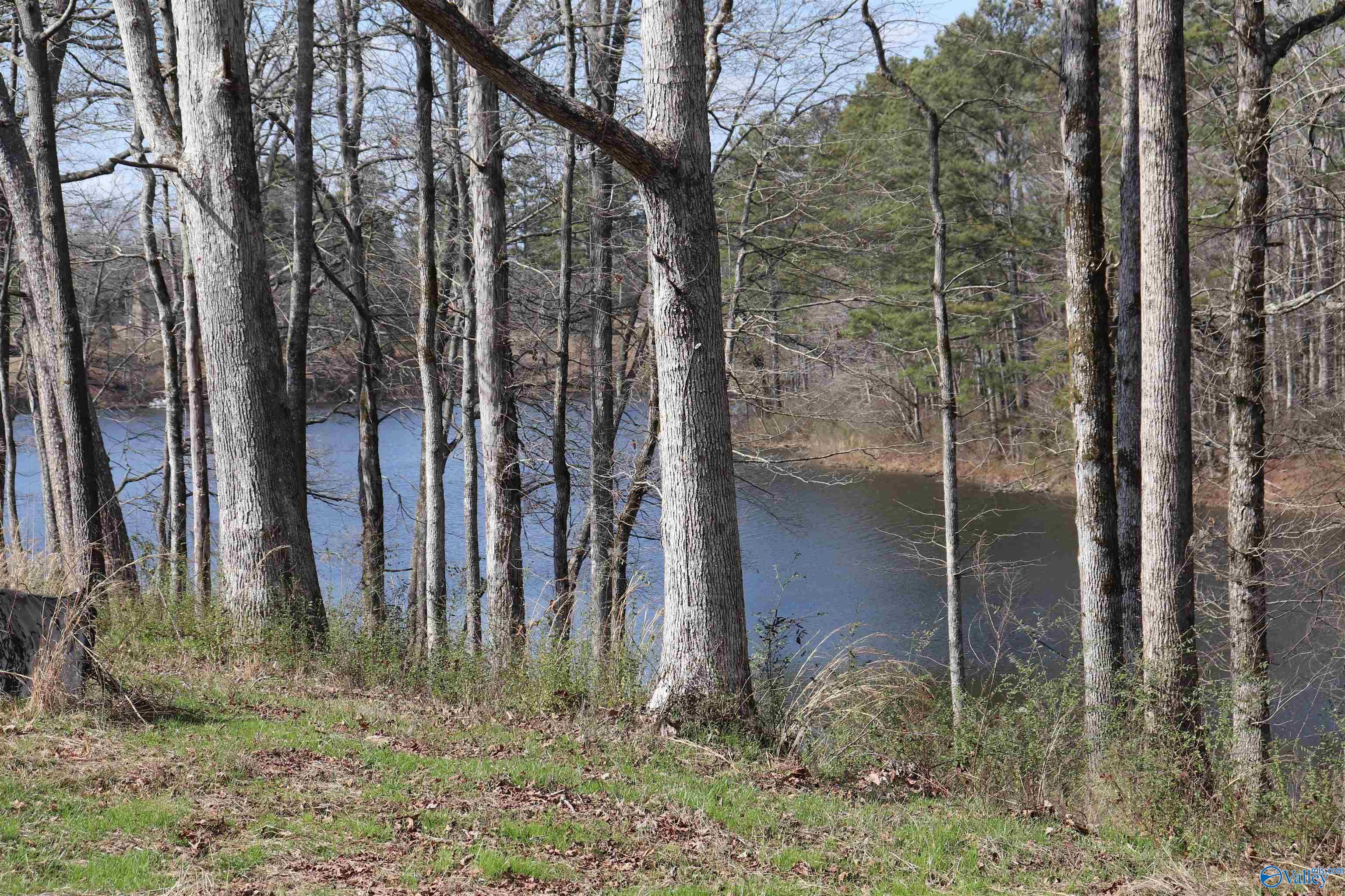 9 Acres +/- County Road 1464, Cullman, Alabama image 1