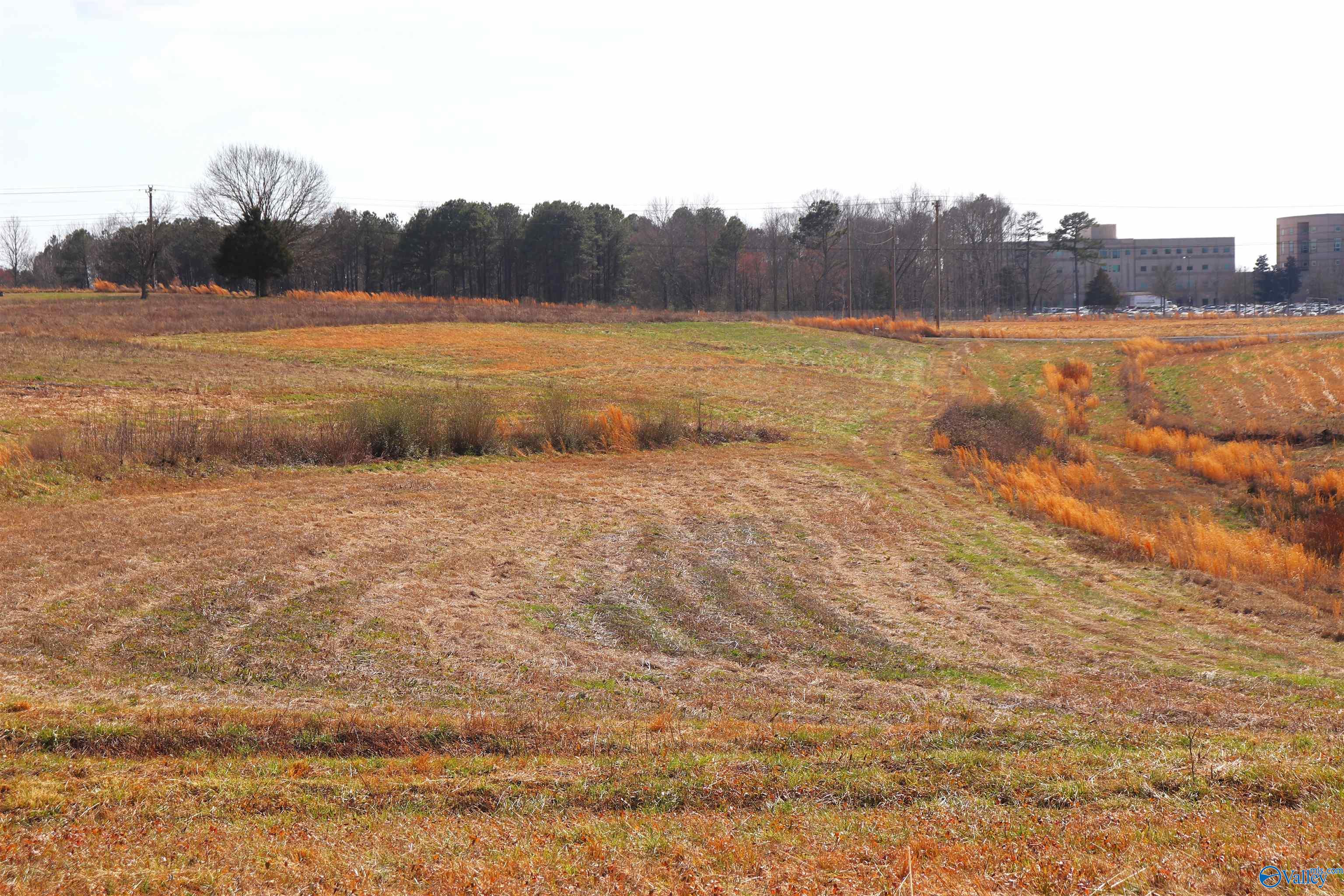 9 Acres +/- County Road 1464, Cullman, Alabama image 4