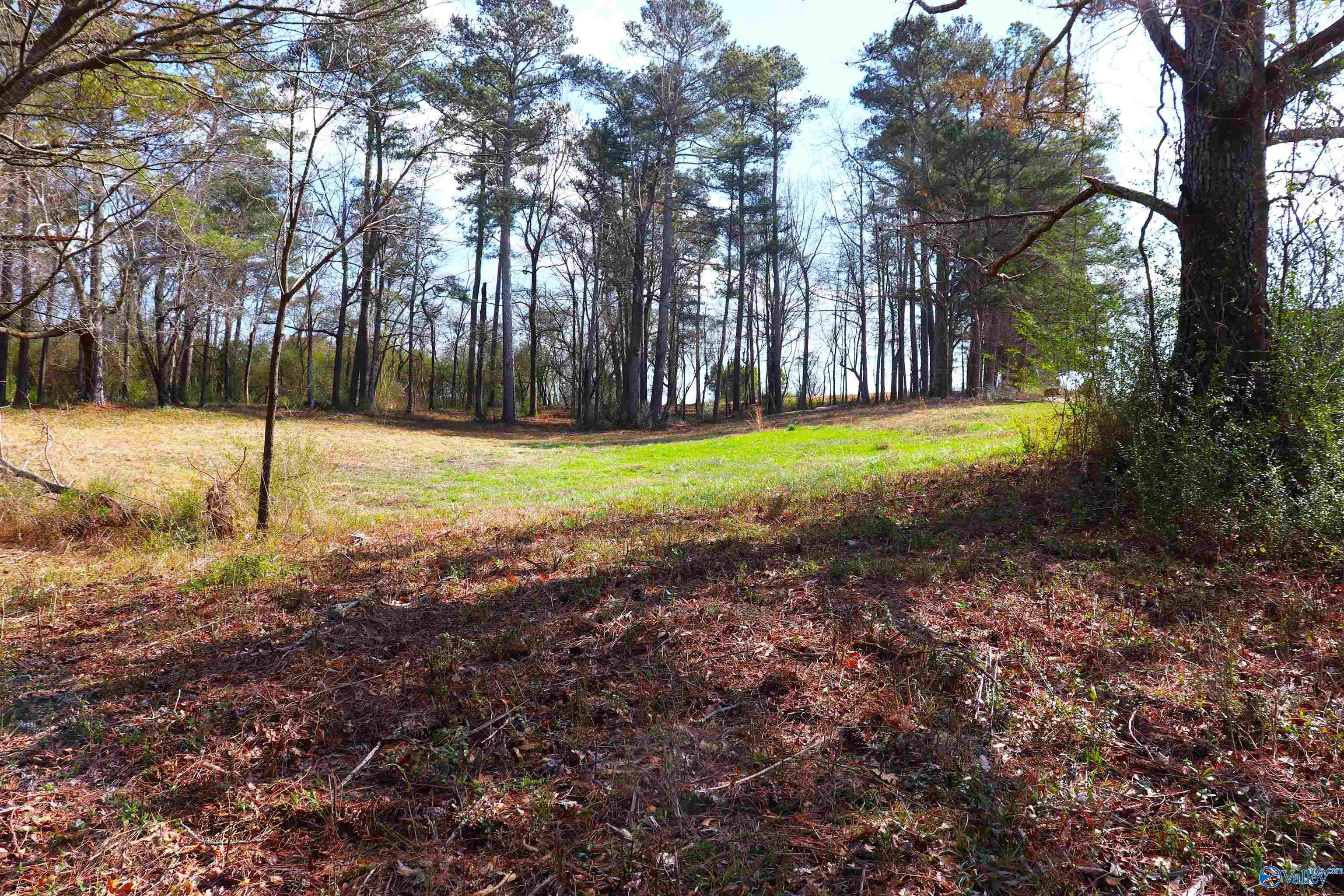 9 Acres +/- County Road 1464, Cullman, Alabama image 5