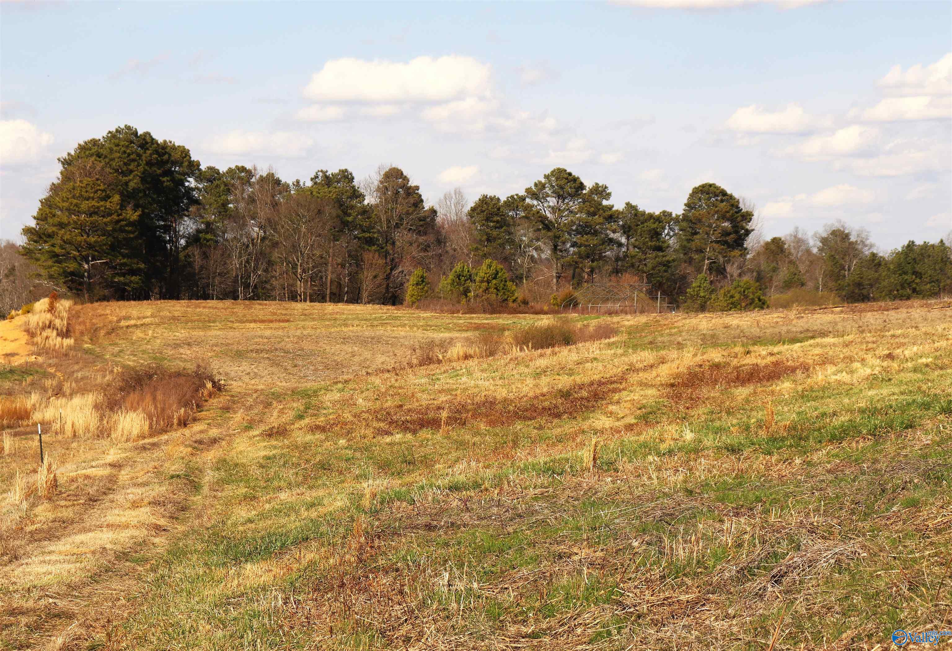 9 Acres +/- County Road 1464, Cullman, Alabama image 15