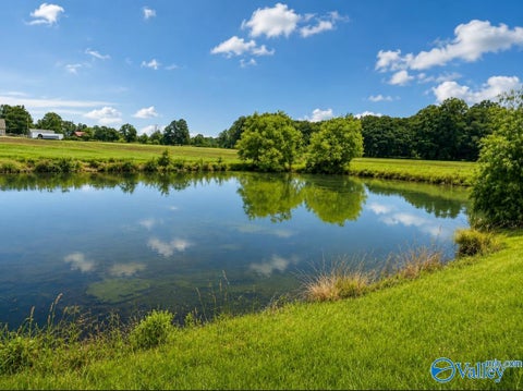 Vacant Land For Sale - 44 ACRES County Road 83<br/> Centre, AL 35960