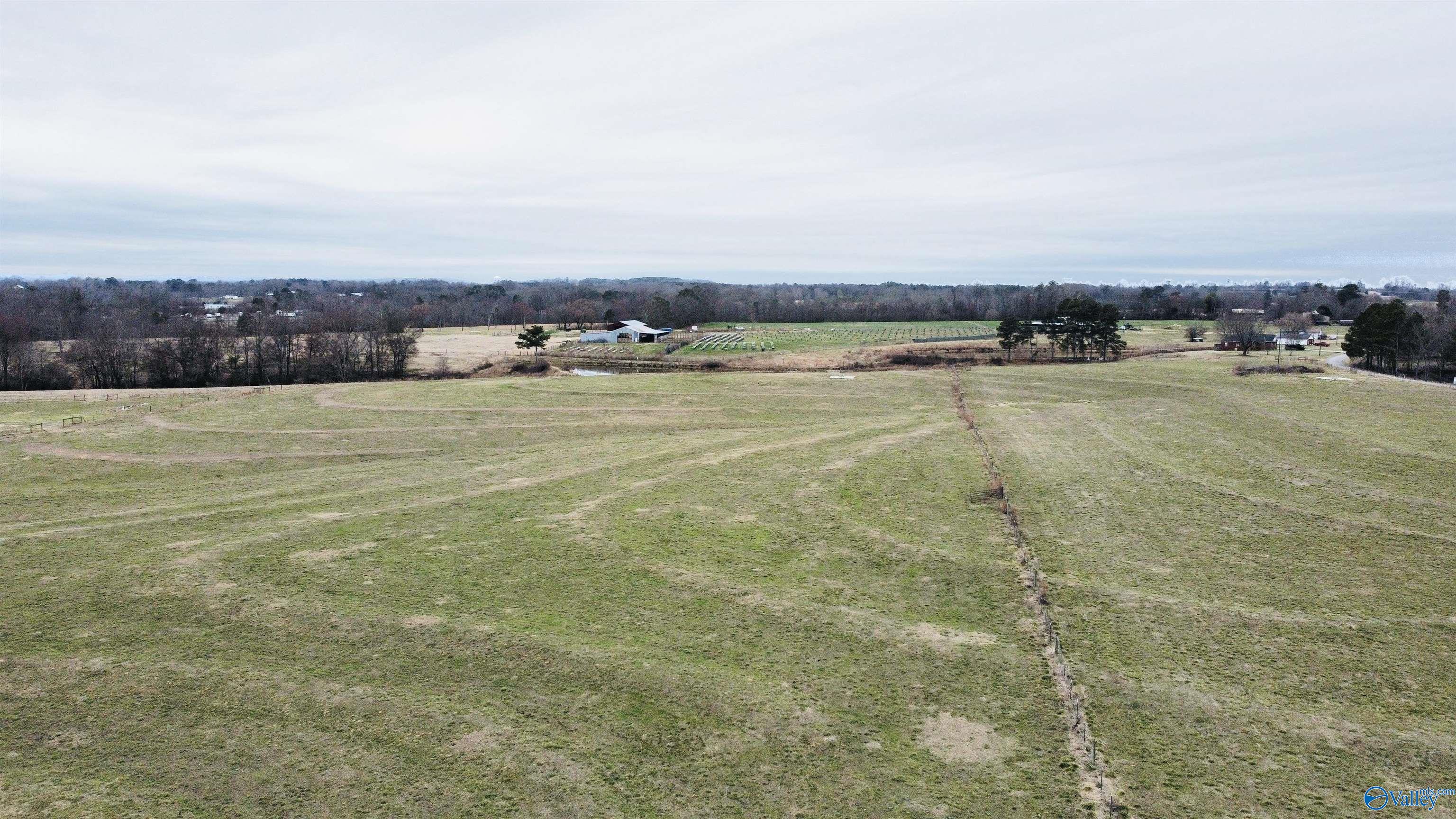 1439 Smith Drive, Horton, Alabama image 1