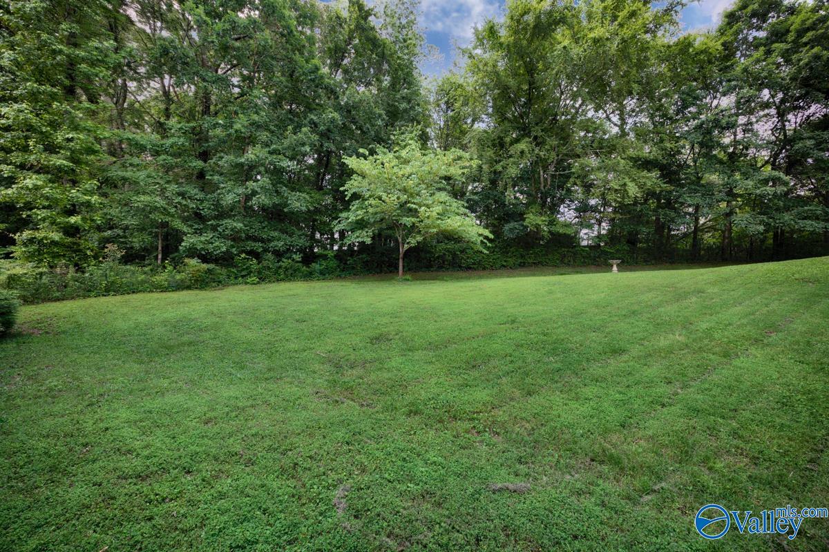 121 Lincarrie Lane, Harvest, Alabama image 46
