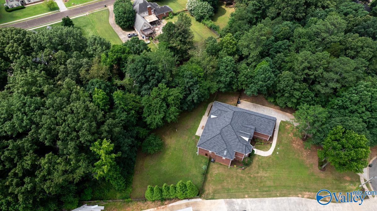 121 Lincarrie Lane, Harvest, Alabama image 50