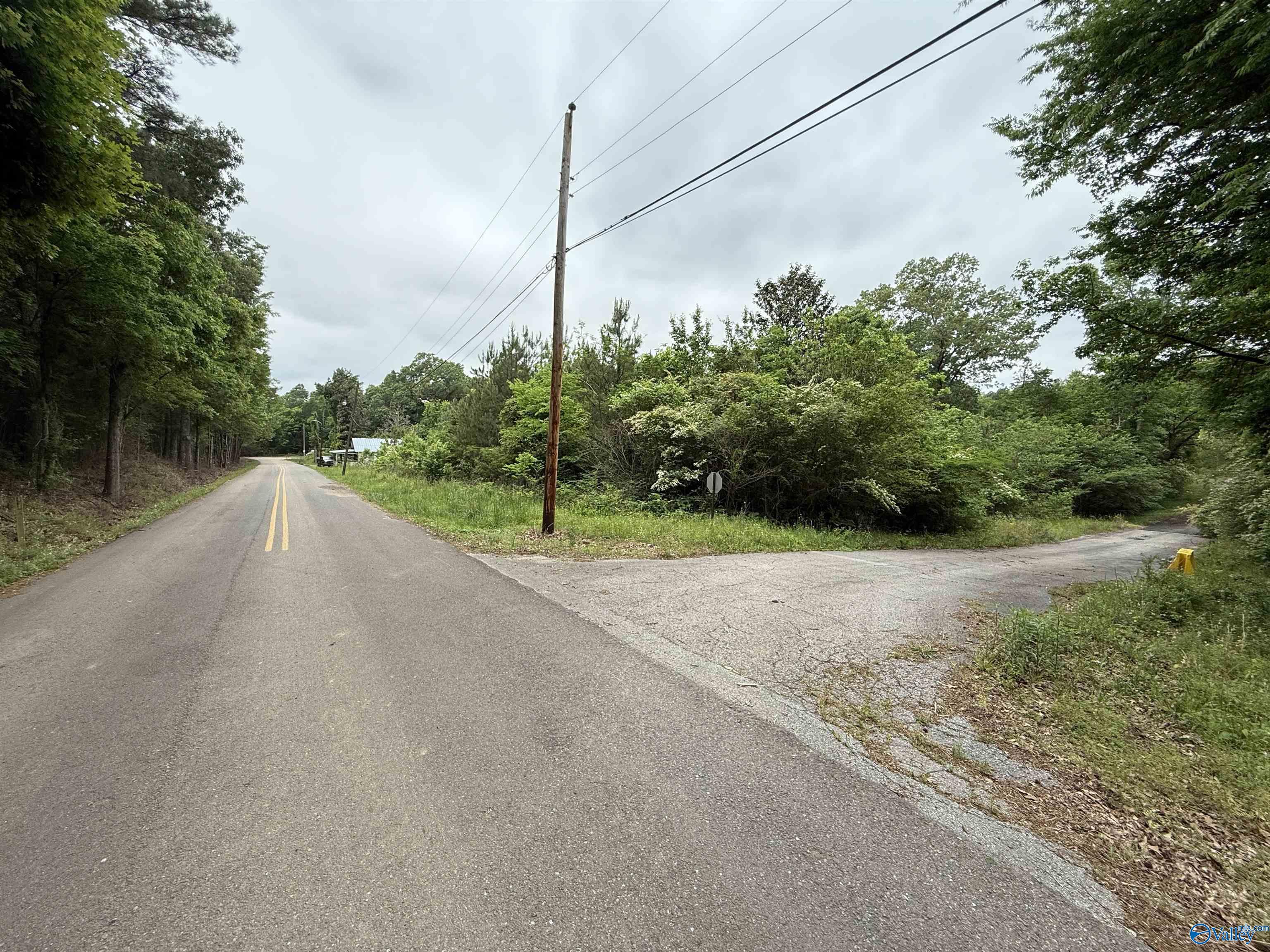 16 Acres Tol Street, Centre, Alabama image 11